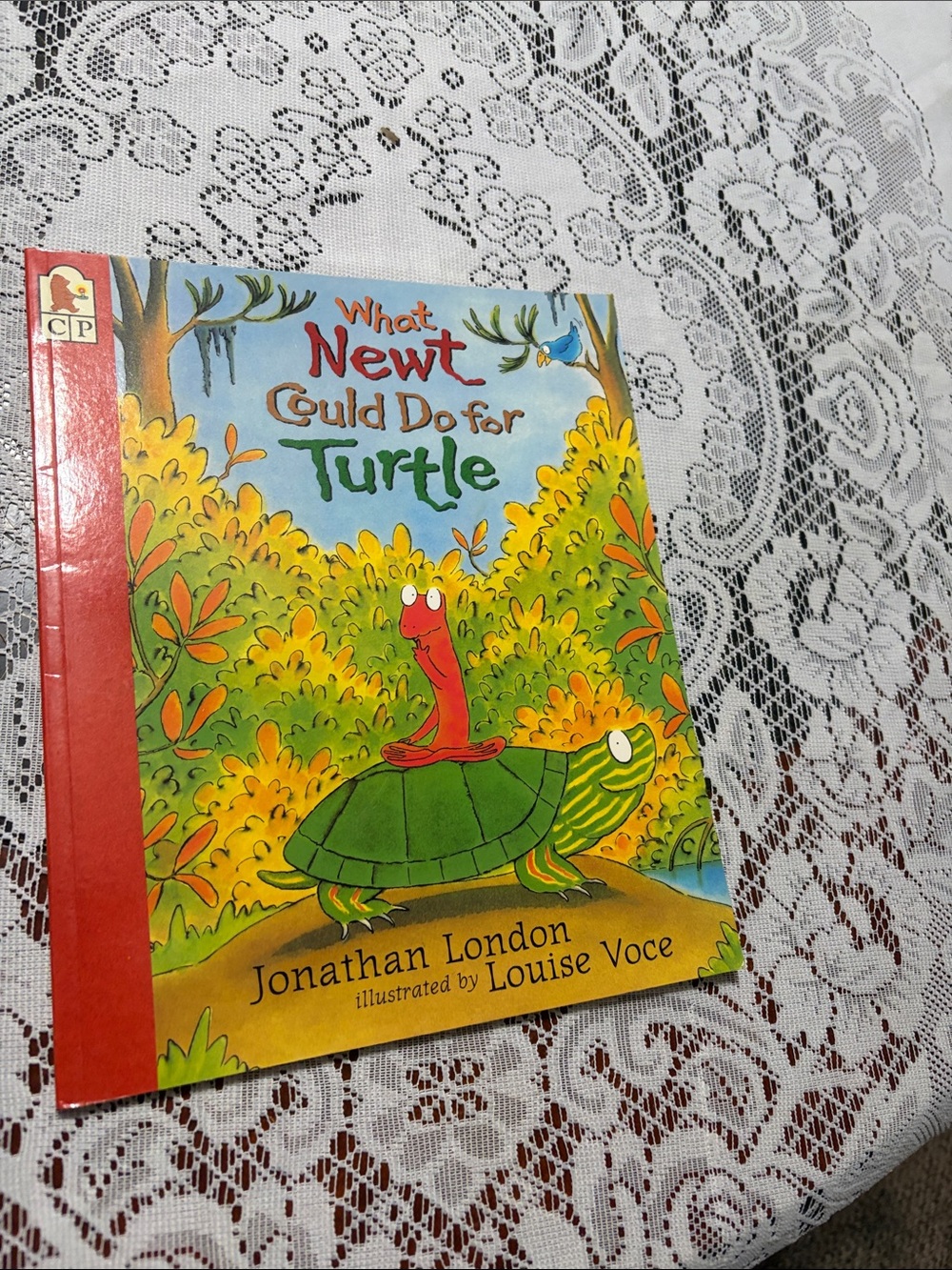 What Newt Could Do for Turtle - Jonathan London Paperback
